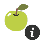 Phase 4 - Icon